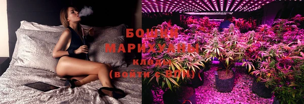 apvp Кукмор