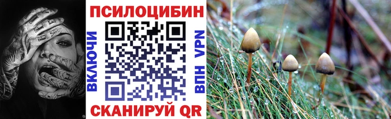 Псилоцибиновые грибы Magic Shrooms  Котовск 