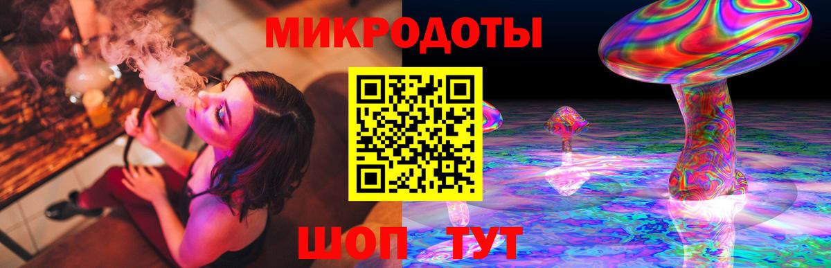 где купить наркоту  Вход с VPN  Котовск  Галлюциногенные грибы Psilocybine cubensis 